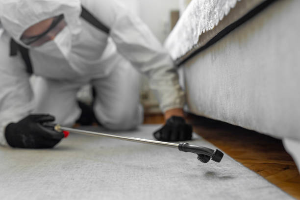 Professional Emergency Pest Control technician working in New Kingman-Butler, AZ