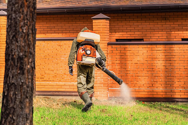Trusted Cockroach Control service in New Kingman-Butler, AZ - Nex Pest Control
